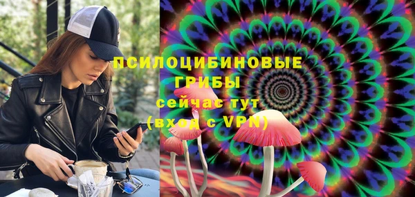 PSILOCYBIN Верхнеуральск